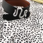 Ζώνη με αγκράφα φίδι