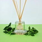 Project Candle sticks βασιλικός