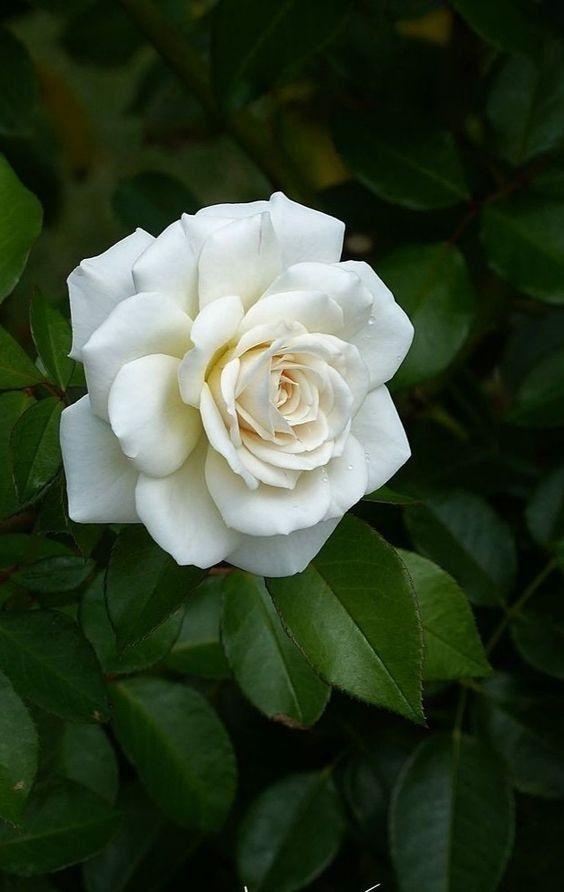 Image #1 from Κωνσταντίνα Λ.