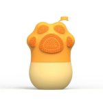 Facial Ice Roller Προσώπου πορτοκάλι