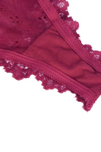 retro-romantic-panty-slip-lace-200116653-3-kookoo-4