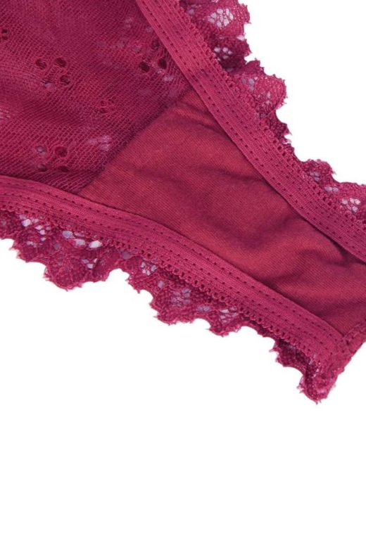 retro-romantic-panty-slip-lace-200116653-3-kookoo-4