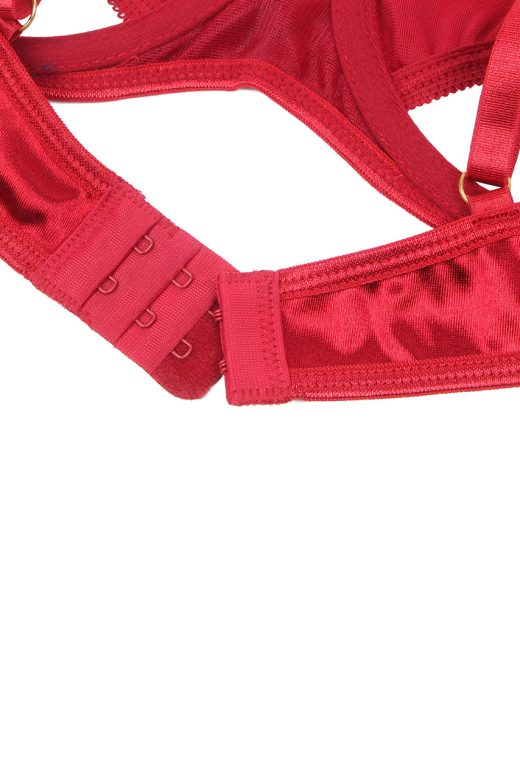 velvet-panty-set-with-choker-red-200117121-3-kookoo-11