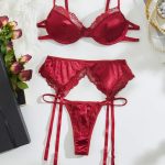 Σατέν σετ εσωρούχων με ζαρτιέρες και καλτσοδέτες σε κόκκινο