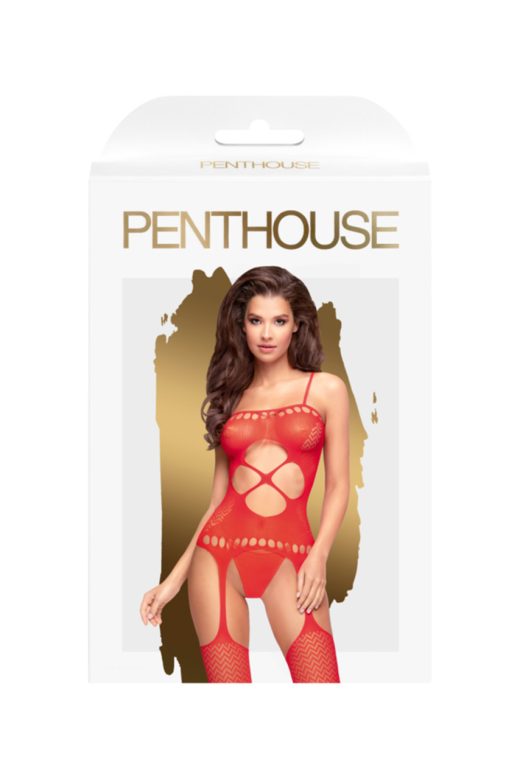 syllogi-penthouse-hot-nightfall-bodystocking-200D-227580-KooKoo(4)